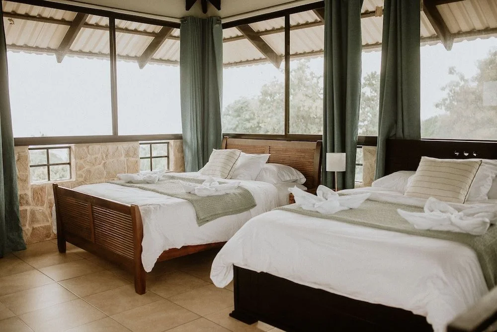 Premium One-Bedroom Suite: interior, photo 1